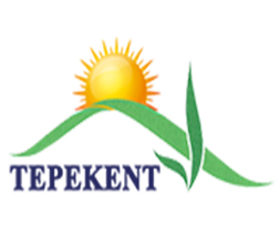 TEPEKENT